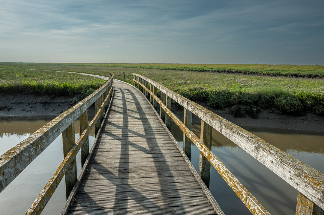 Langwarder Groden – Wo die Nordsee die Landschaft gestaltet.
